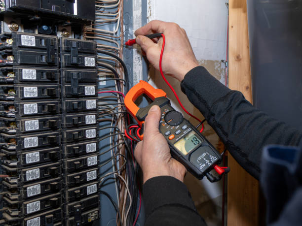Best Ceiling Fan Installation Electrician  in Waukon, IA